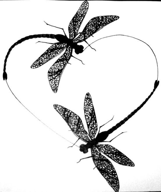 Dragonfly Logo | Dragonfly Tattoo ...