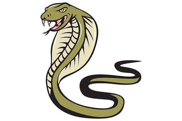 Cobra Viper Snake Attacking Cartoon ~ Illustrations on Creative Market