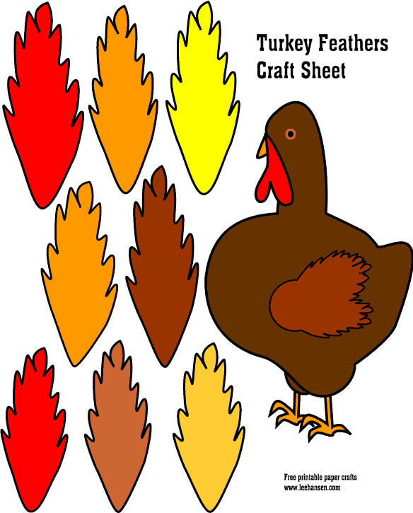 Craft Turkey Feathers