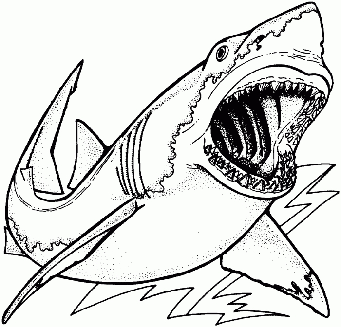 Great White Shark Coloring Pages | Coloring Pages Kids Collection