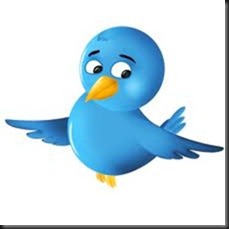 Cara Memasang Animasi Burung Twitter Melayang di Blog | Mat Tempak
