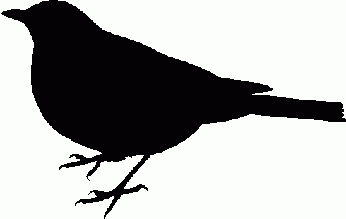 Black Bird Clip Art - Tumundografico