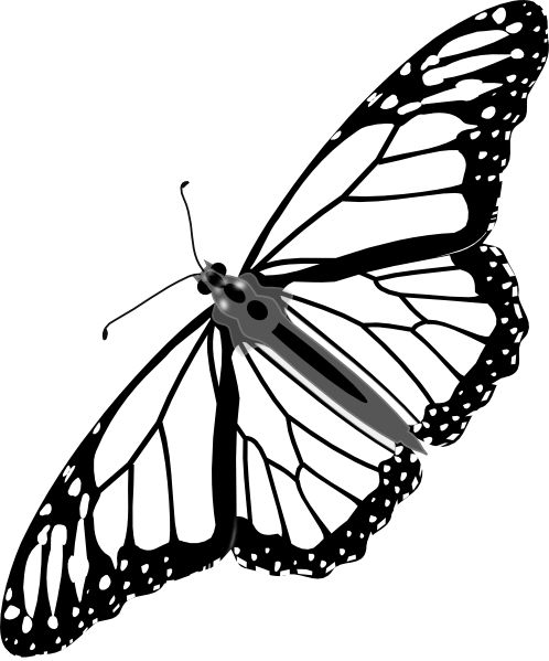 Monarch butterfly, Shadows and Clip art