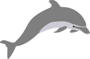 Jumping Dolphin Outline - Free Clipart Images