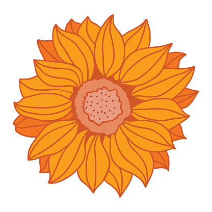Sunflower Graphics Cartoon Clip Art, Vector Images & Illustrations ...