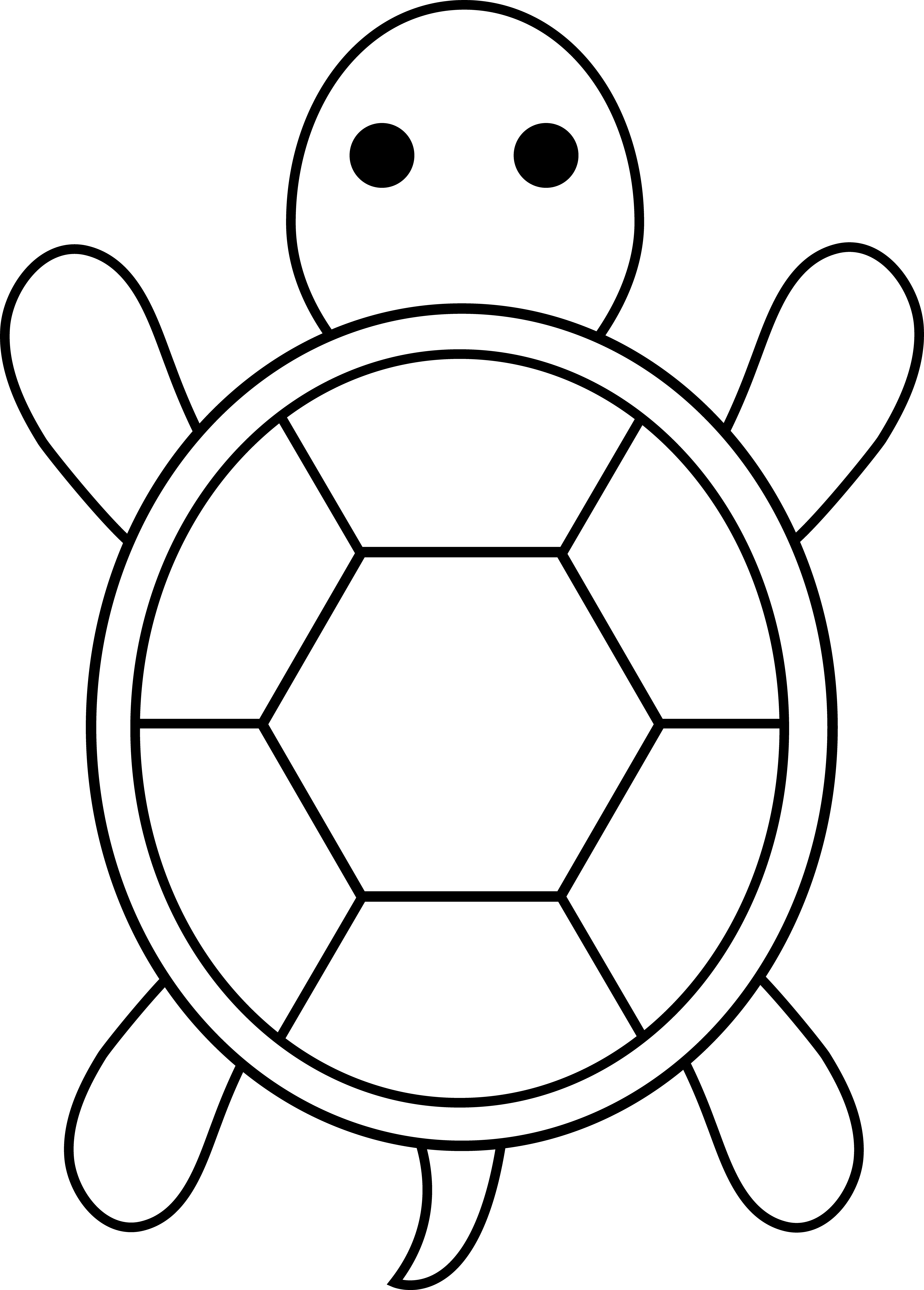 Turtle clipart outline