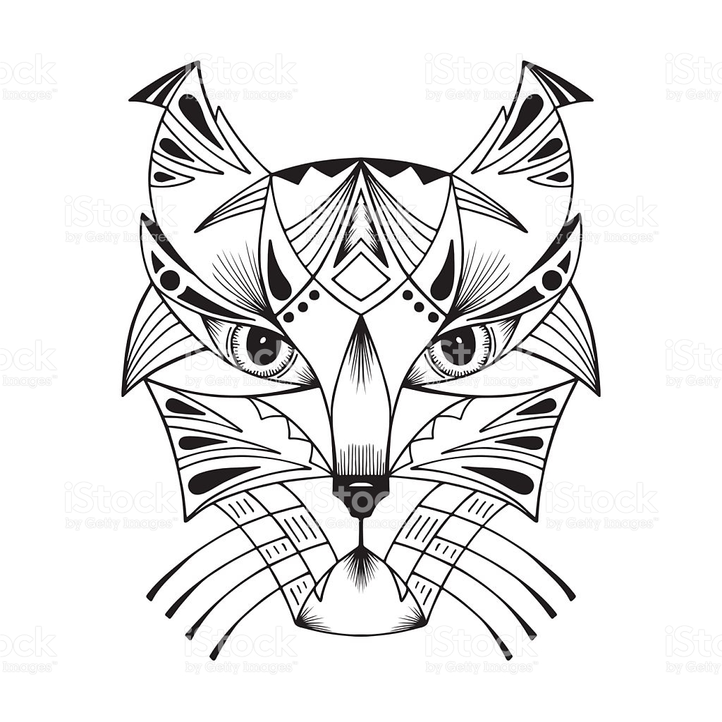 Drawing Of Wildcat Symbol Clip Art, Vector Images & Illustrations ...