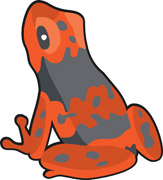 Free Amphibian Clipart - Clip Art Pictures - Graphics - Illustrations