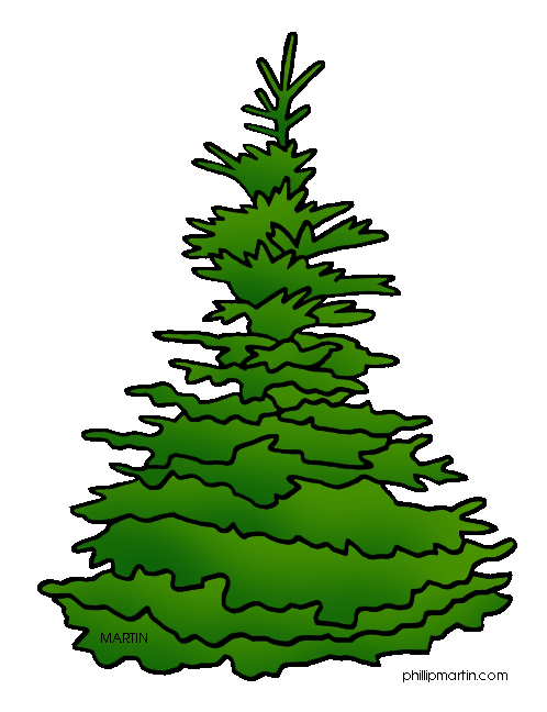 Spruce Tree Clip Art