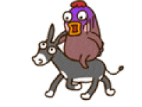 evil chicken gif popkey