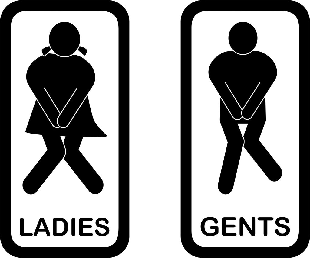 Toilet signs #3 - A pair of humorous vinyl ladies and gents door ...