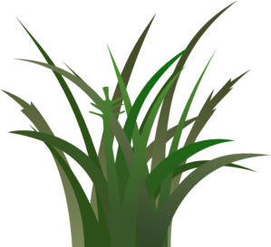 Grass clip art vector grass graphics clipartcow - Clipartix