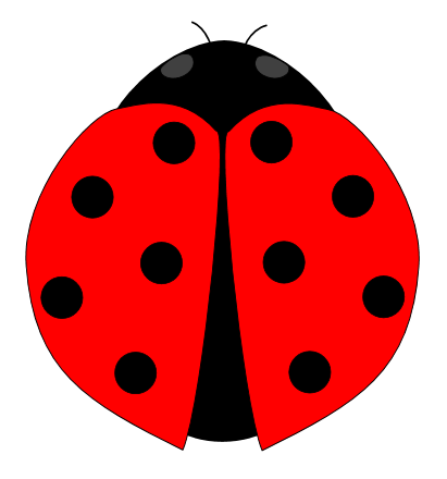 Ladybug PNG Images Transparent Free Download | PNGMart.com
