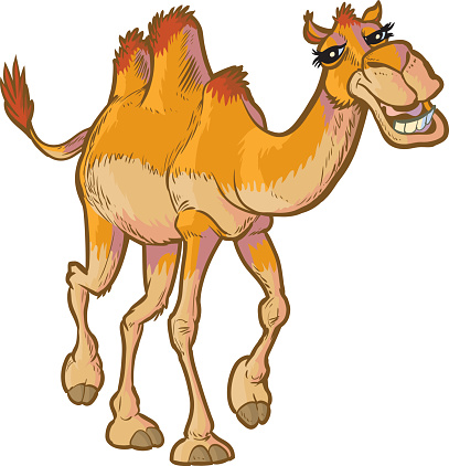 Cartoon Of Animal Camel Camels Desert Face Clip Art, Vector Images ...