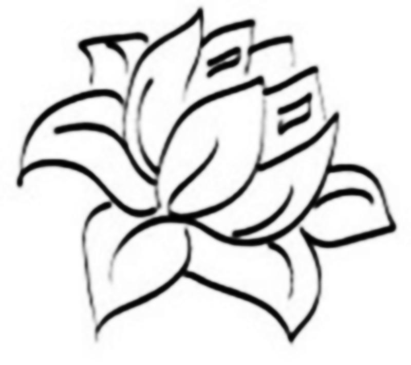 Kanji n Lotus Tattoo Sketch Real Photo, Pictures, Images and