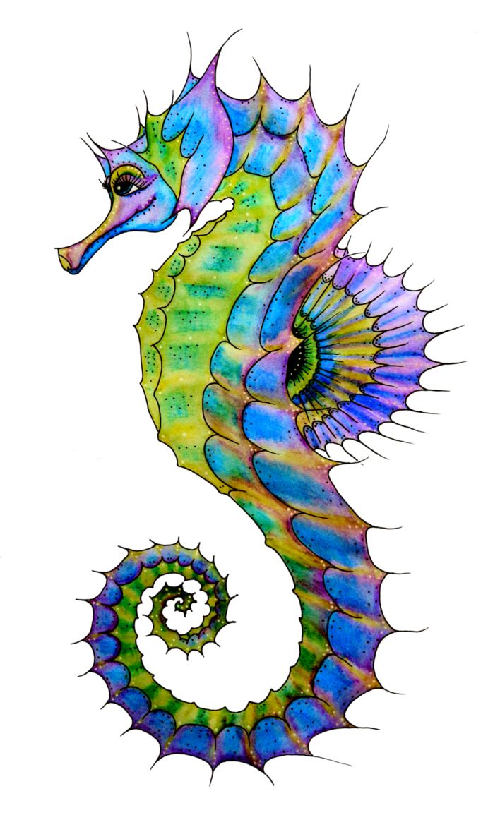 Seahorse Drawing | How To Draw ...