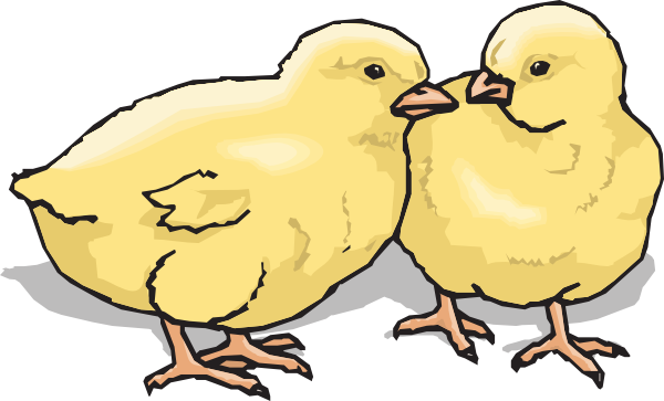 baby chick clipart | Hostted