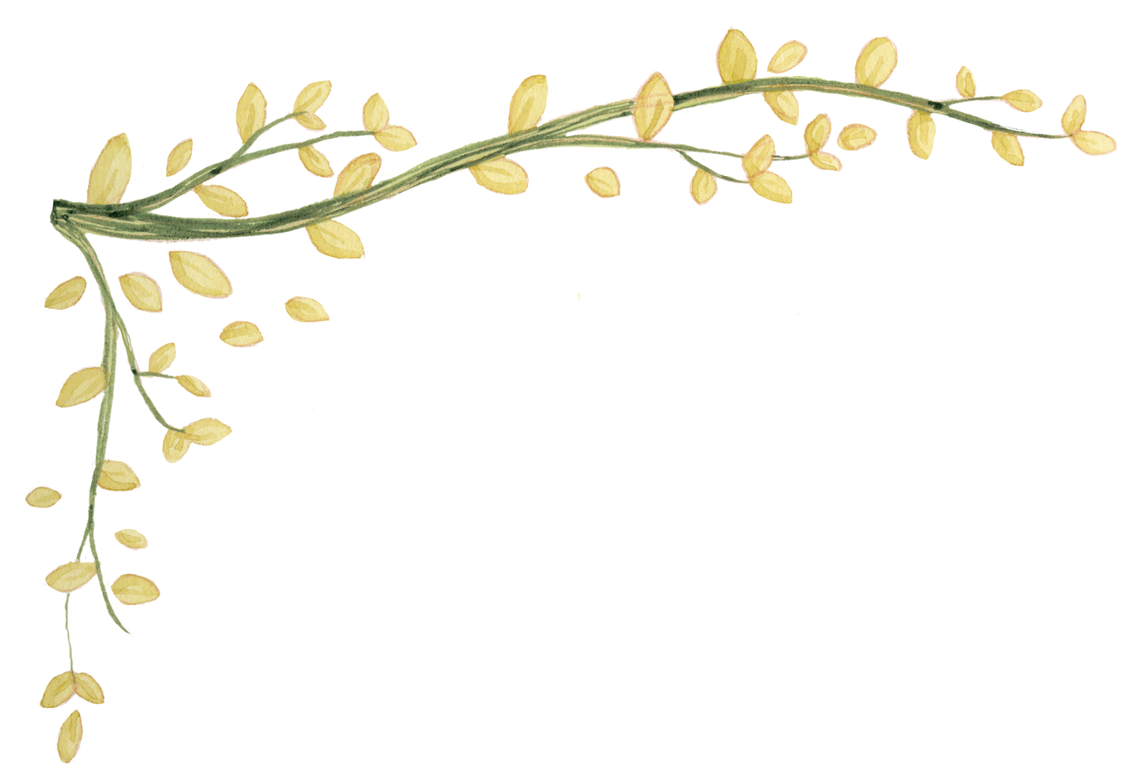 Vine Template ClipArt Best