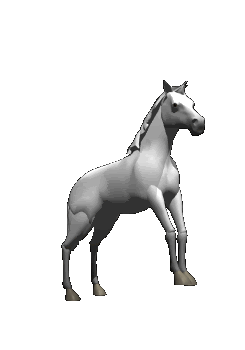 White Animated horse - Horses Gif (102433)