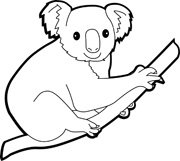 Koala bear clipart black and white
