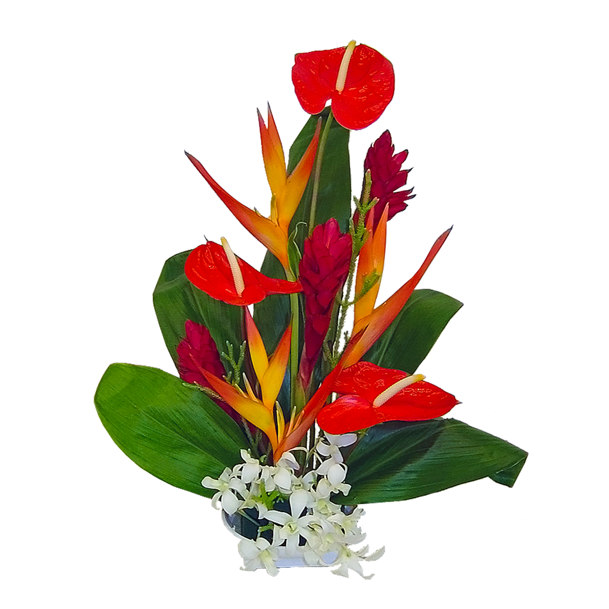 Hawaiis State Flower - ClipArt Best