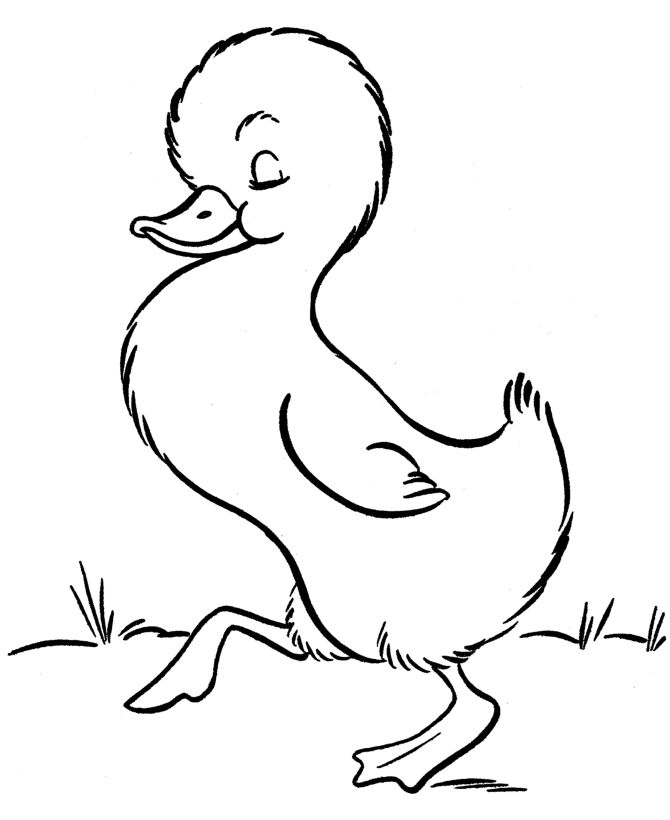 Image detail for -Easter Chick Coloring Pages - Cute ... | cartoon art