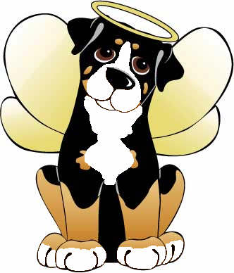 Bernese mountain dogs Graphics and Animated Gifs