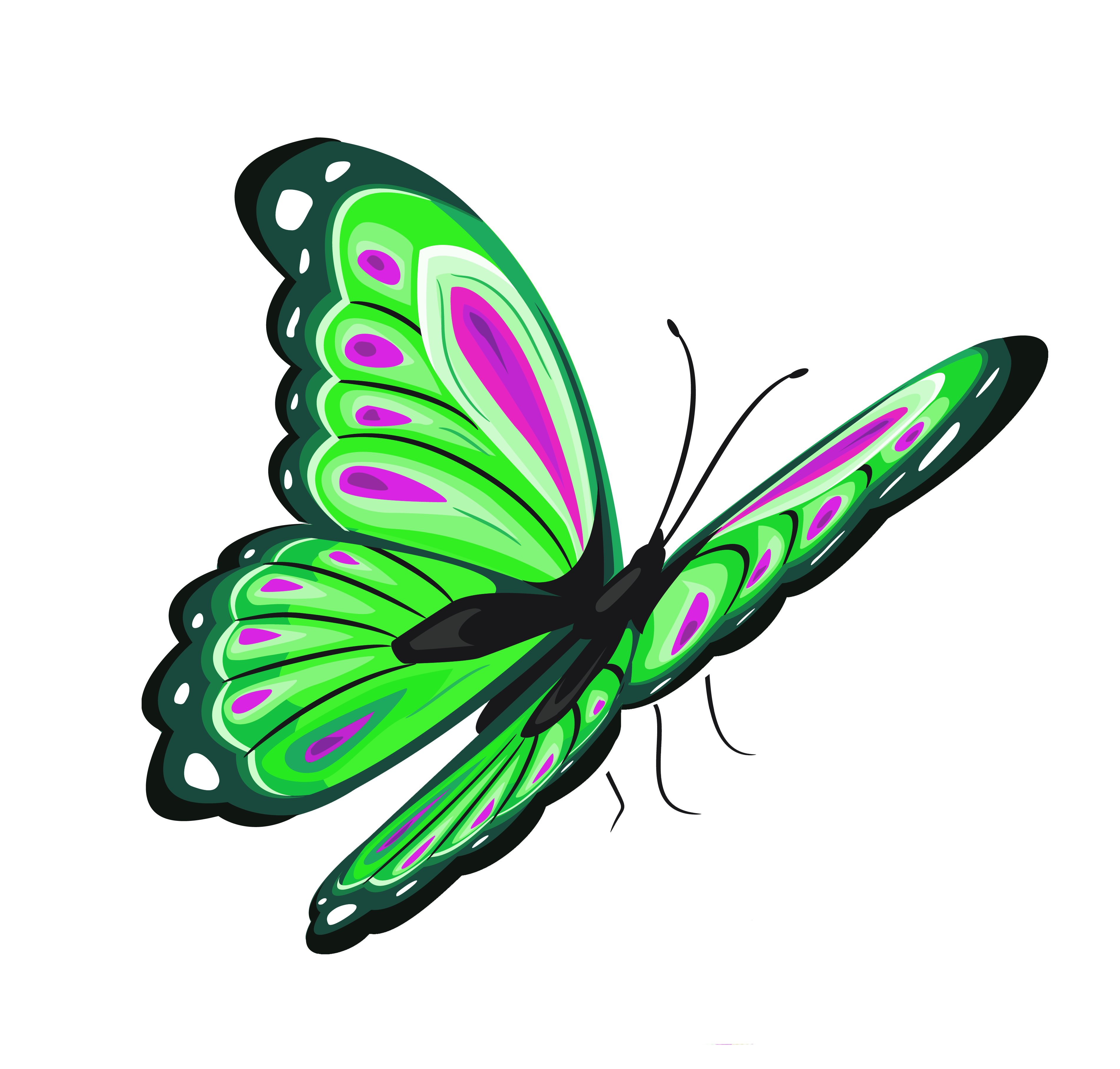 Green Butterfly Clipart | Free Download Clip Art | Free Clip Art ...