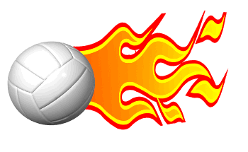 VOLLEYBALL animated gifs