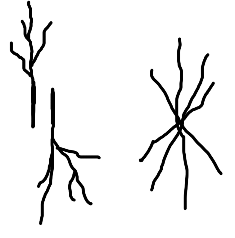 Template Of Tree With Branches
