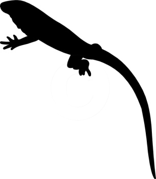 Search Results - Search Results for lizard Pictures - Graphics ...