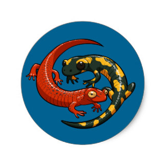 Cartoon Salamander Stickers | Zazzle