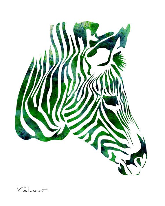 1000+ images about zebralicious zebras | Watercolors ...