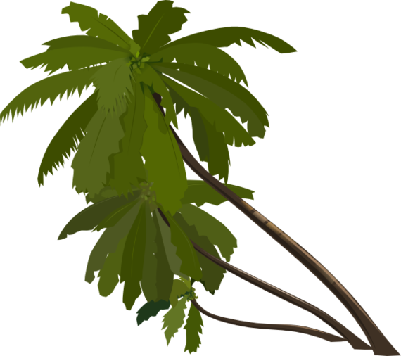 Jungle Trees Cartoon Clipart - Free to use Clip Art Resource