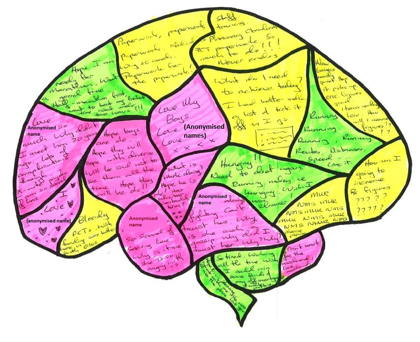 Unlabeled Diagram Of The Brain - ClipArt Best