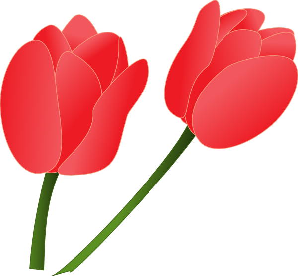 Tulip Clip Art Clker Clipart Html - ClipArt Best - ClipArt Best