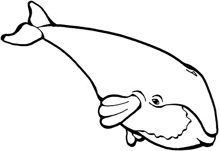 Whales coloring pages | Super Coloring