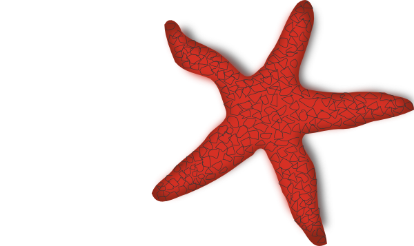 Addon Red Starfish clip art Free Vector