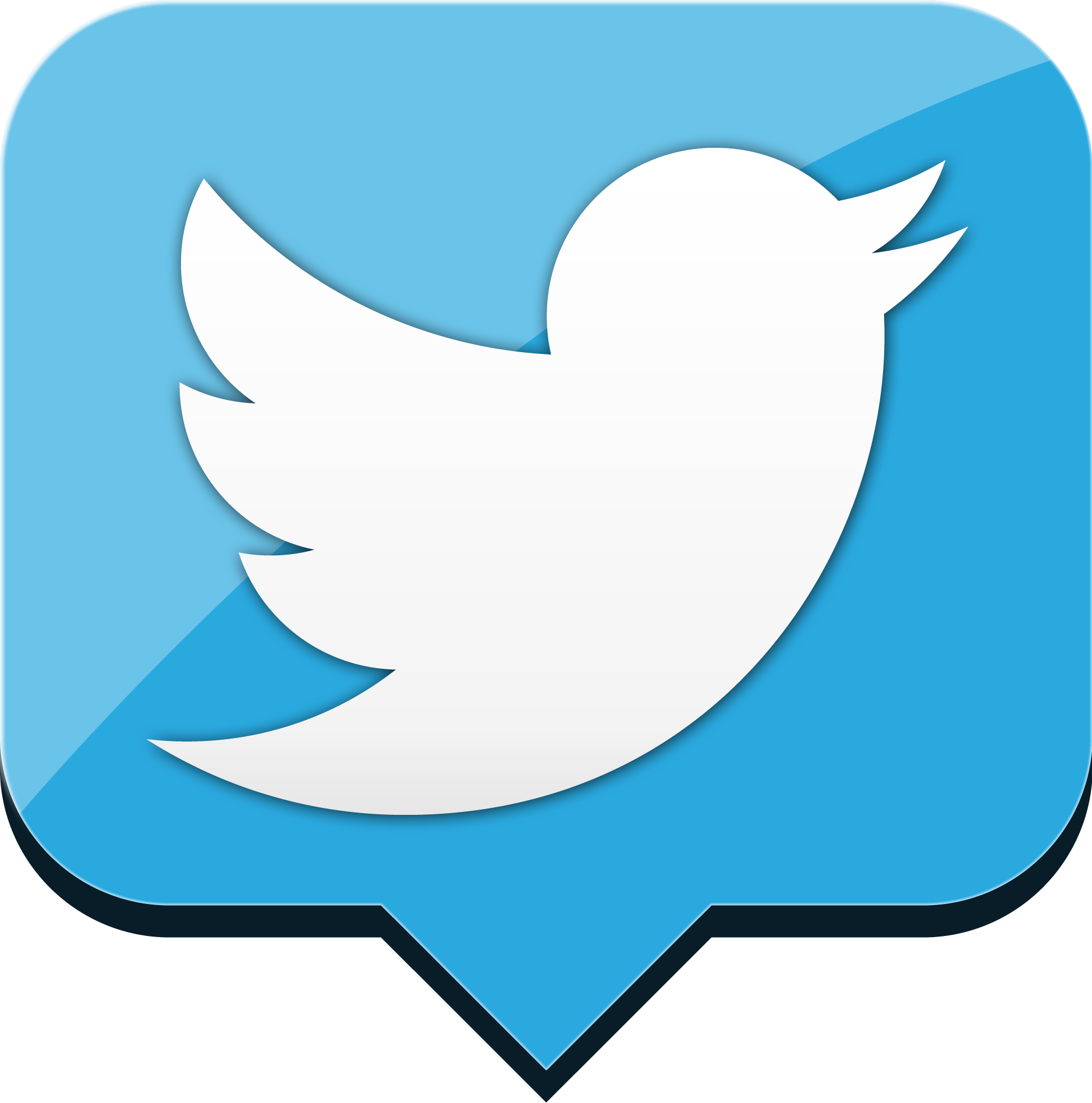 Twitter Icons Vector