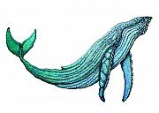 Humpback Whale Art for Sale