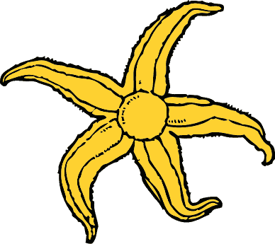 Free Sea Stars Clipart. Free Clipart Images, Graphics, Animated ...