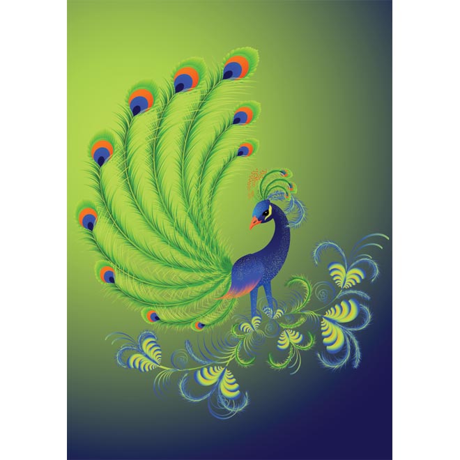 Peacock | Free vector Graphics | Download Free Vector illustration ...
