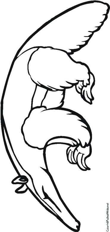 aardvark coloring pages - photo #49