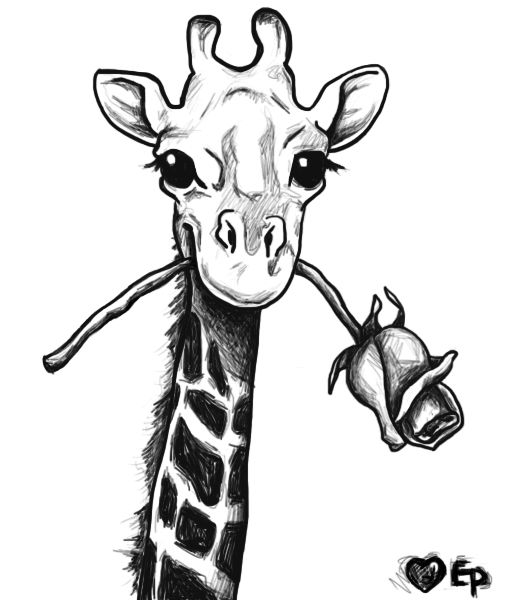 Giraffe Drawing | Giraffe Art ...