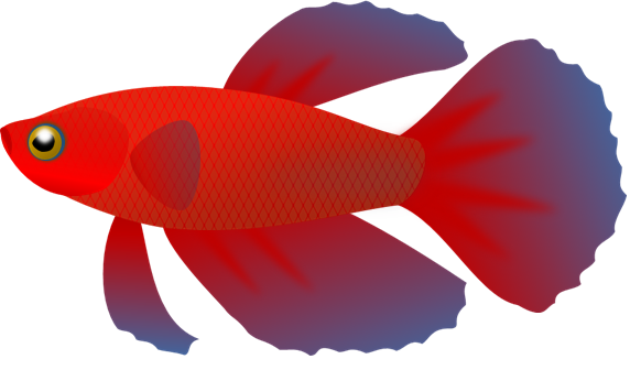 fish clip art transparent background - photo #48