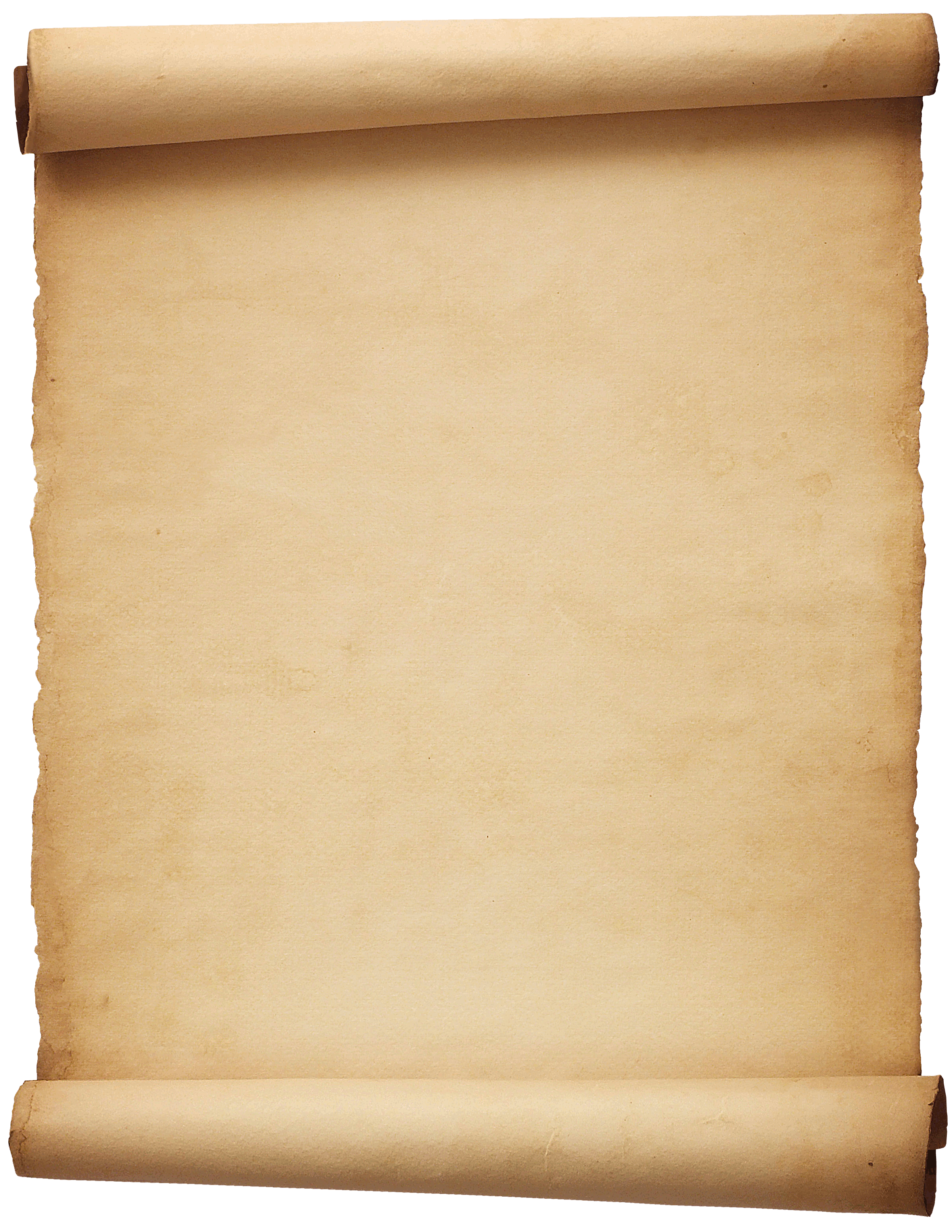 Blank Parchment Paper