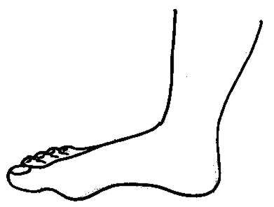 Clip art foot clipart - Clipartix