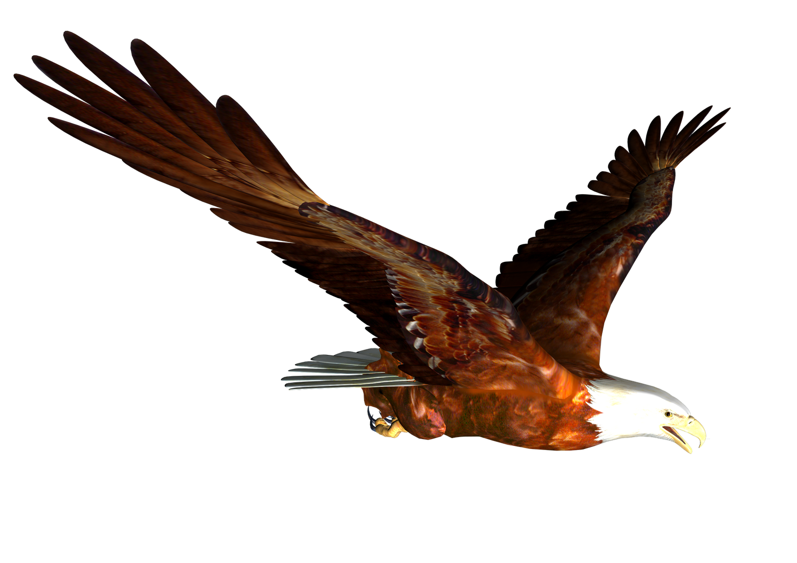 Eagles soaring clipart