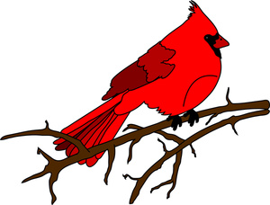 Bird Clipart Image - Cardinal in a Tree
