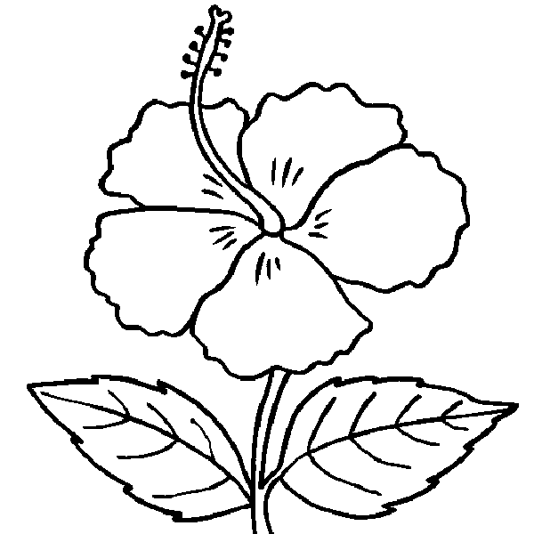 Parts Of A Plant Coloring Pages - ClipArt Best